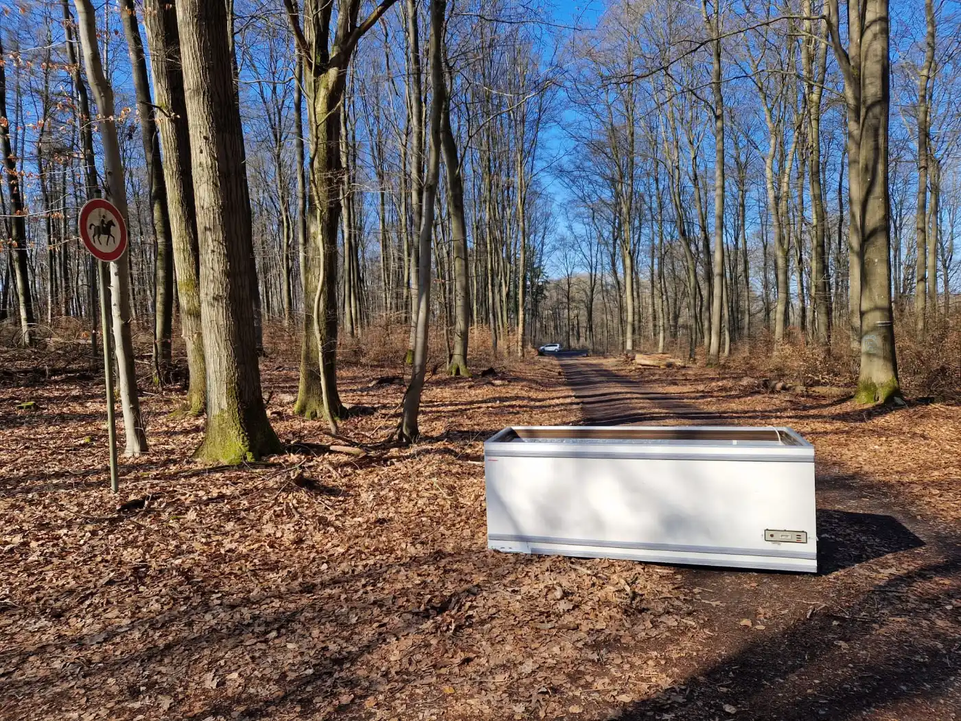Illegale Müllentsorgung im Dachsenhäuser Wald 