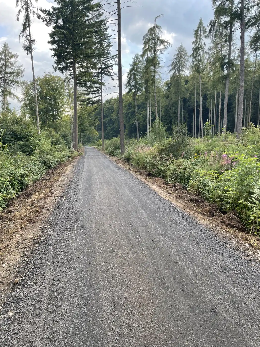 Sanierung Erholungsweges „Bahndamm“ abgeschlossen