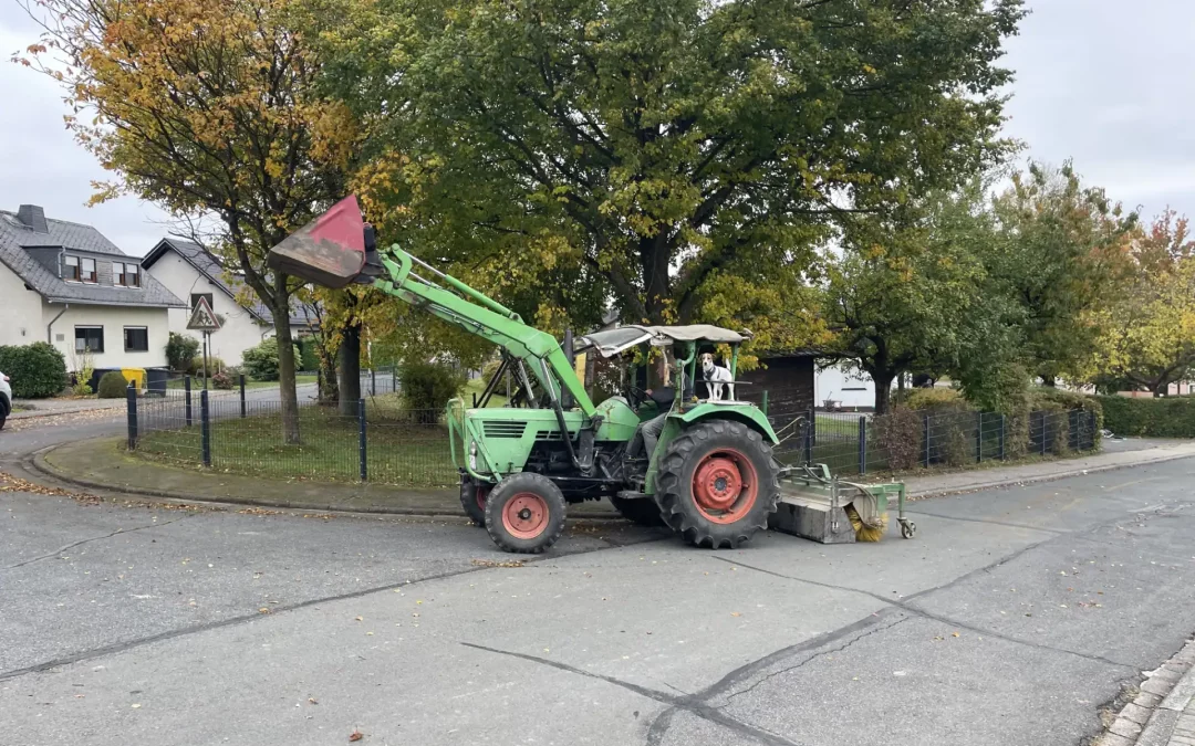 Arbeitseinsatz am Kindergarten „Bimmelbahn“ – Außengelände erstrahlt in neuem Glanz