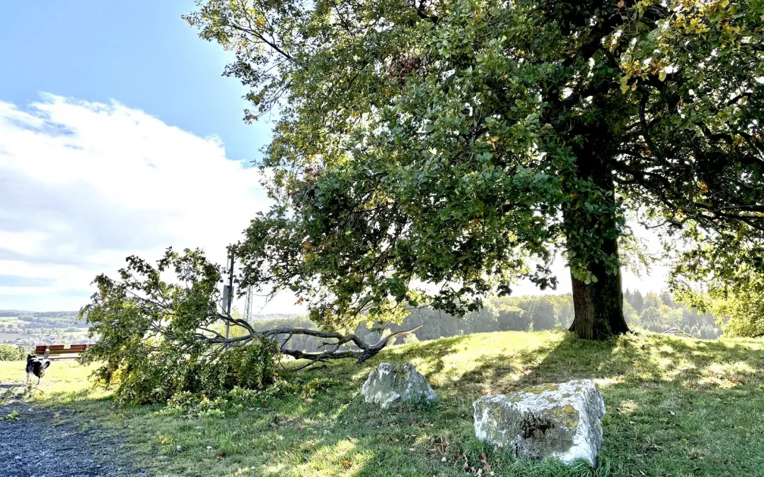 Wichtige Information