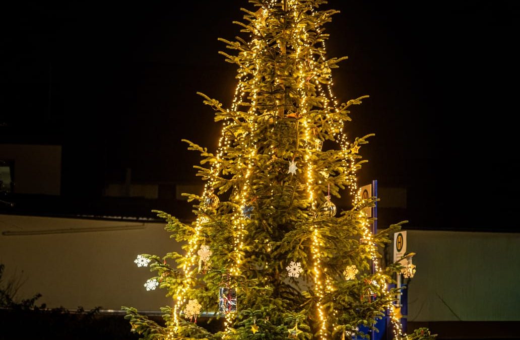 Weihnachtsbaum auf unserem Turnplatz