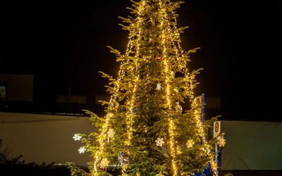 Weihnachtsbaum auf unserem Turnplatz