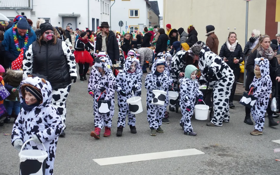Fotos vom Fastnachtsumzug Dachsenhausen 2026