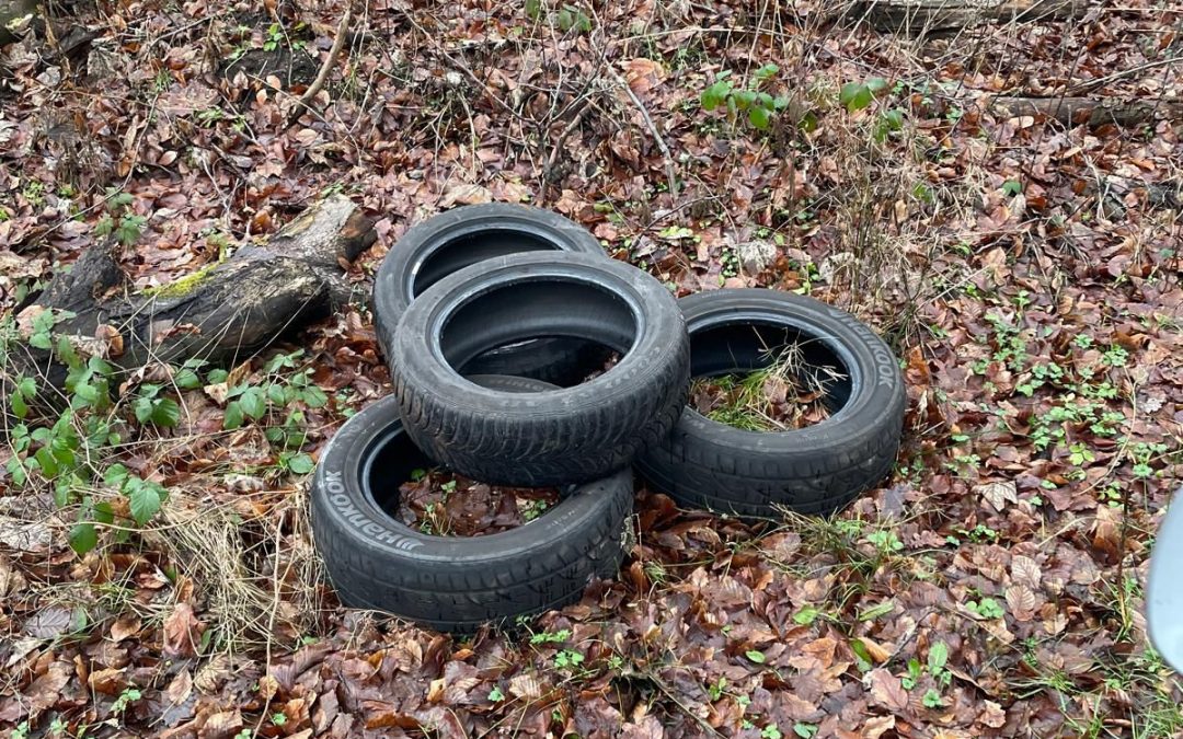 Illegale Müllentsorgung im Dachsenhäuser Wald – Gemeinde bittet um Hinweise.