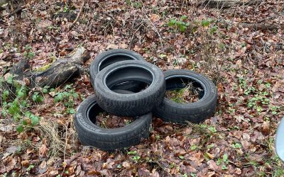 Illegale Müllentsorgung im Dachsenhäuser Wald – Gemeinde bittet um Hinweise.