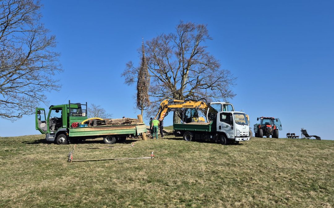 Neue Eiche 🌳 beim Heisebäumchen gepflanzt