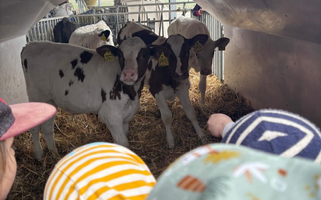 Von Tieren, Verkehr und Zauberei: Viel erlebt in kurzer Zeit.