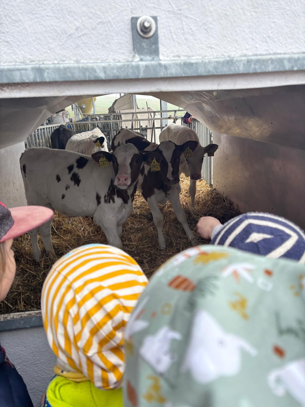 Von Tieren, Verkehr und Zauberei: Viel erlebt in kurzer Zeit.