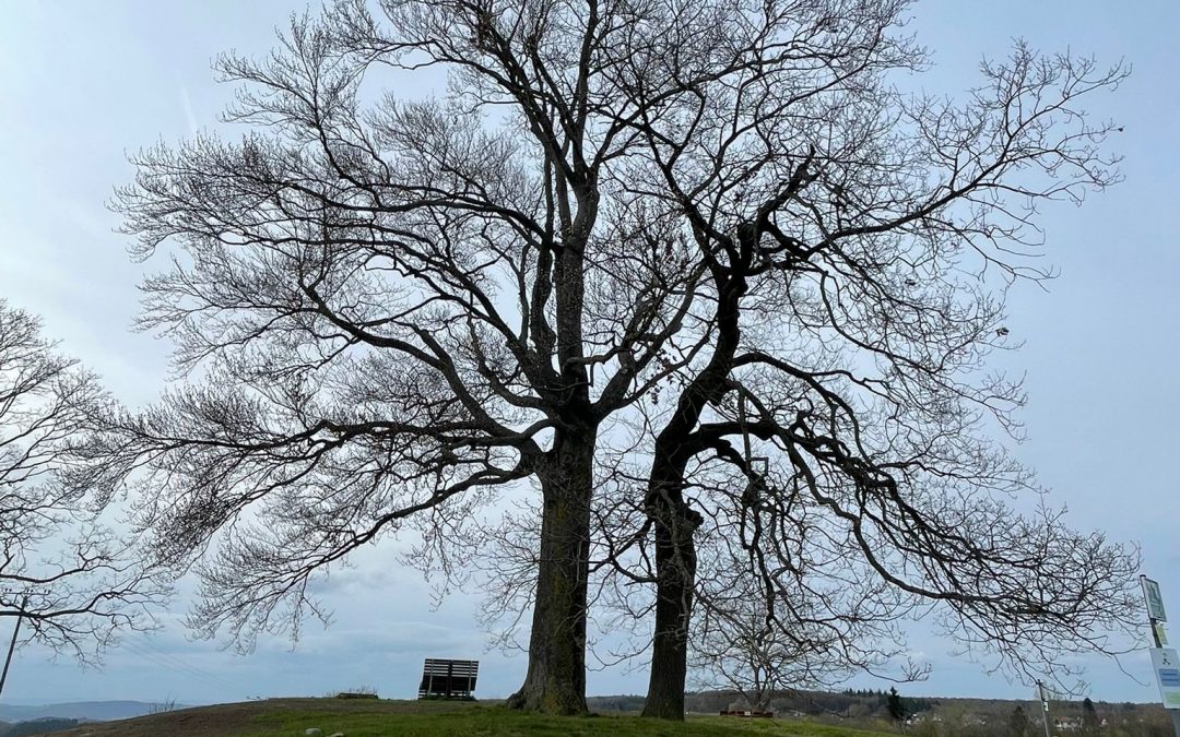 Hörgeschichten aus Dachsenhausen
