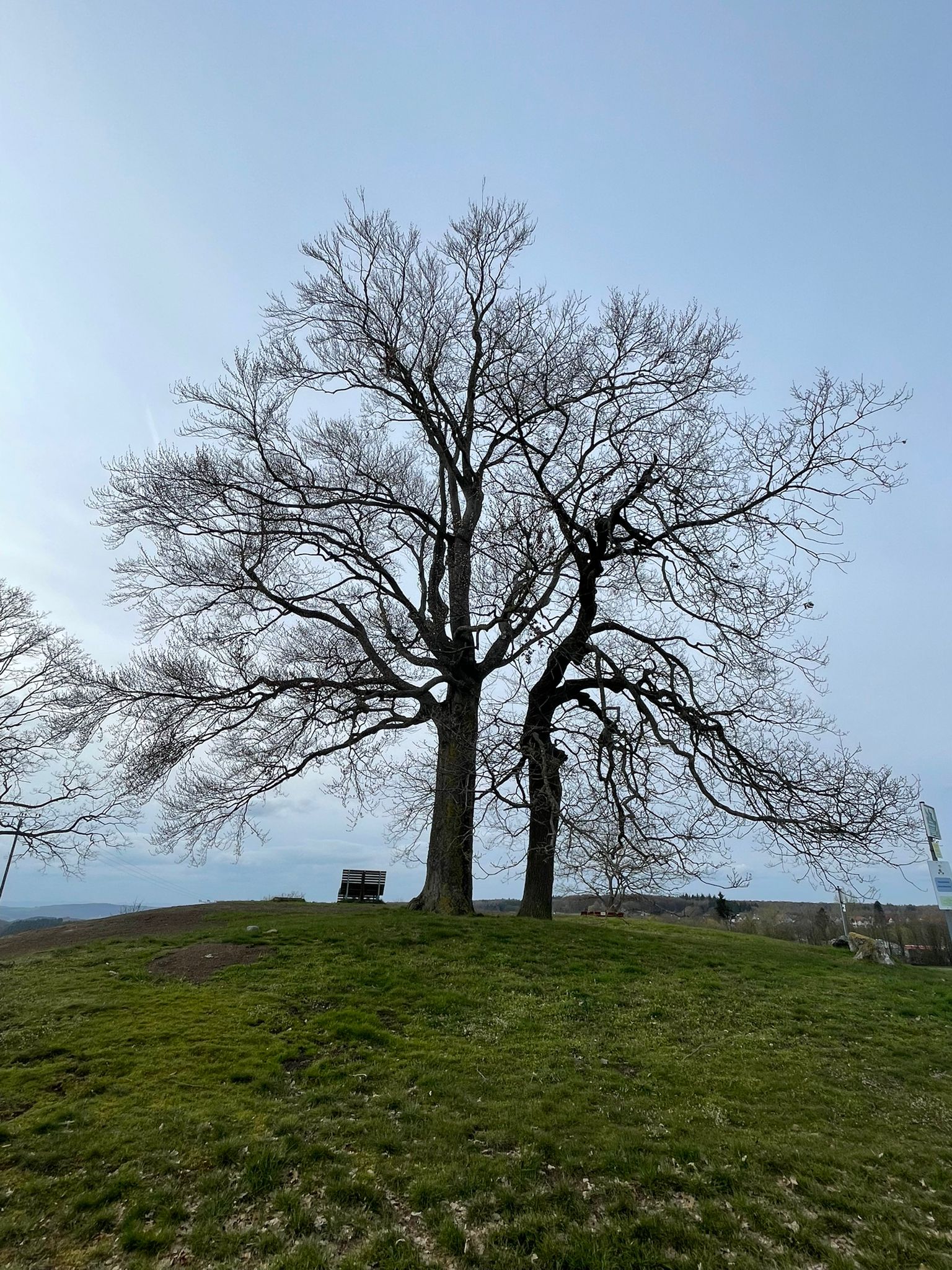 Hörgeschichten aus Dachsenhausen