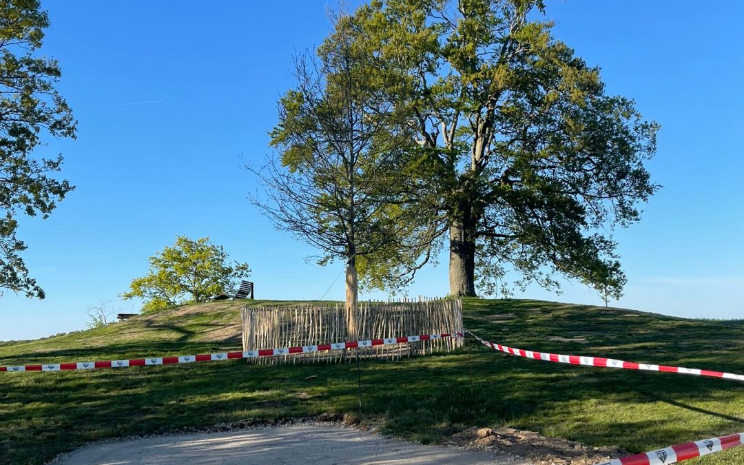 Neue Schutzhütte am Heisebäumchen nimmt Gestalt an