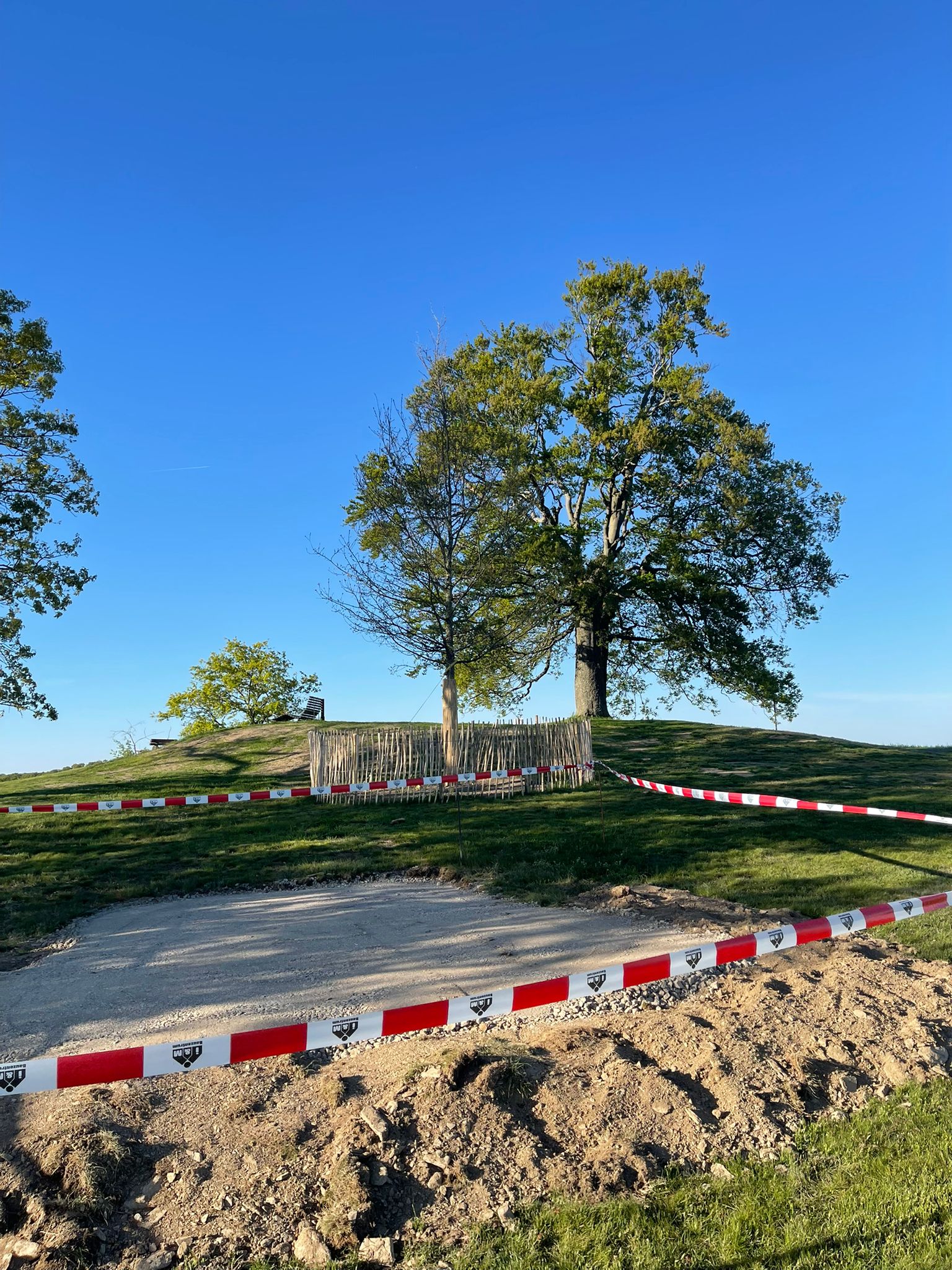 Neue Schutzhütte am Heisebäumchen nimmt Gestalt an